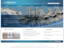 Website Snapshot of Pioneer Surgical Technology