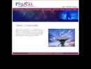 Website Snapshot of PIVOTAL SATELLITE TECHNOLOGIES INC