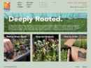 Website Snapshot of PIZZO NATIVE PLANT NURSERY, LLC