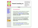 Website Snapshot of POMONIK CONSULTING, INC