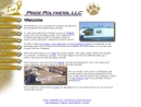 Website Snapshot of Pride Polymers LLC