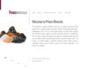Website Snapshot of Prince Minerals