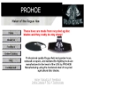 Website Snapshot of Prohoe