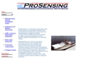 Website Snapshot of PROSENSING, INC.