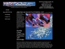 Website Snapshot of Protocad Mfg., Inc.