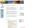 Website Snapshot of Protype, Inc.