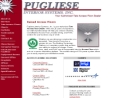 Website Snapshot of Pugliese Interior Systems