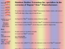 Website Snapshot of Rainbow Rubber Extrusions