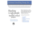 Website Snapshot of Reisman Consulting Inc.