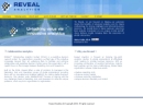 Website Snapshot of REVEAL ANALYTICS, LLC