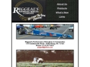 Website Snapshot of Riggeal's Performance Fiberglass & Composites