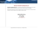 Website Snapshot of ROCKSOL CONSULTING GROUP INC