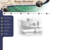 Website Snapshot of ROCKY MOUNTAIN AIRCRAFT SERVICES A DIV OF ROCKY MOUNTAIN AVIONICS INC