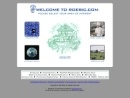 Website Snapshot of Roebic Laboratories, Inc.