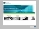 Website Snapshot of Resource Systems Group, Inc.