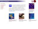 Website Snapshot of Resistance Technology, Inc., Plastics Group