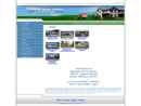 Website Snapshot of Runyan Real Estate, Inc.
