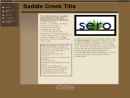 Website Snapshot of SADDLE CREEK TITLE, LLC
