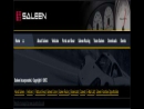 Website Snapshot of Saleen, Inc.