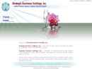 Website Snapshot of Strategic Business Holdings Inc
