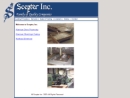 Website Snapshot of Scepter Inc