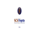 Website Snapshot of S C S/Frigette