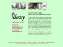 Website Snapshot of Sentry Electric Corp.