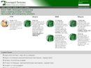 Website Snapshot of SERENGETI SYSTEMS INC