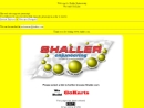Website Snapshot of Shaller Investments, Inc.