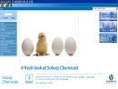Website Snapshot of Solvay Chemicals, Inc.