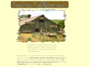 Website Snapshot of Southern Outfitters