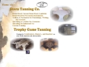 Website Snapshot of Stern Tanning Co., Inc.