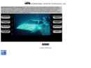 Website Snapshot of Submersible Systems Technology, Inc.