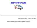 Website Snapshot of SOUTHWEST EMS, INC