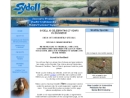 Website Snapshot of Sydell, Inc.