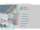 Website Snapshot of SYNTHESIS PROFESSIONAL SERVICES, INC.