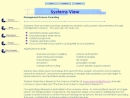 Website Snapshot of SYSTEMS VIEW