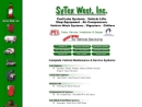 Website Snapshot of SYTEX