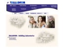 Website Snapshot of Talladium, Inc.