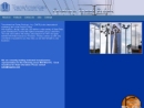 Website Snapshot of Trans American Power Products, Inc.