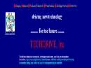 Website Snapshot of TECHDRIVE INC