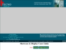 Website Snapshot of Tecno Display, Inc.