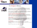 Website Snapshot of TELIGENT SERVICES, INC