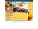 Website Snapshot of Temple Citrus Grove