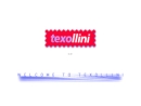 Website Snapshot of Texollini, Inc.