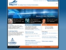 Website Snapshot of MANAGEMENT NETWORK GROUP INC
