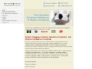 Website Snapshot of TRENDSOURCE, INC.