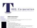 Website Snapshot of TREQ CORPORATION