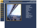 Website Snapshot of TRIAD MECHANICAL INC