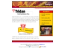 Website Snapshot of Tridan International, Inc.